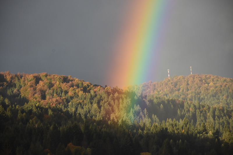 Čestitka ob 8. marcu